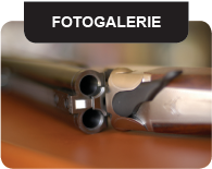 Fotogalerie